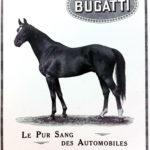 Interview de Ettore Bugatti